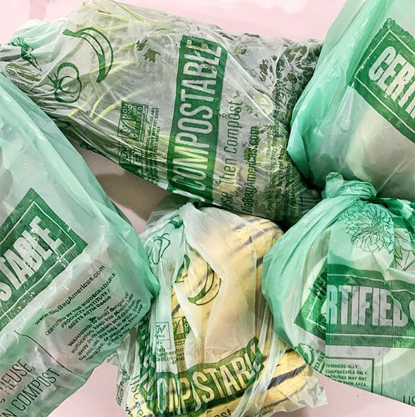 small biodegradable vest shopping bag (20kg/carton)